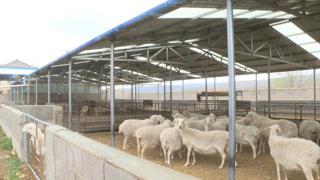 會寧 特色養(yǎng)殖讓鄉(xiāng)村振興“畜”勢勃發(fā)——現(xiàn)代化牧場工程設(shè)計引領(lǐng)產(chǎn)業(yè)升級